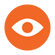 Vision