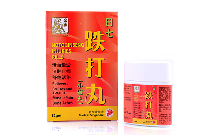 Golden Sun Brand Notoginseng Injuries Pill (12g) 金亮牌田七铁打丸 (12克)
